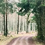 펜션 Cozy In A Scenic Natural Setting