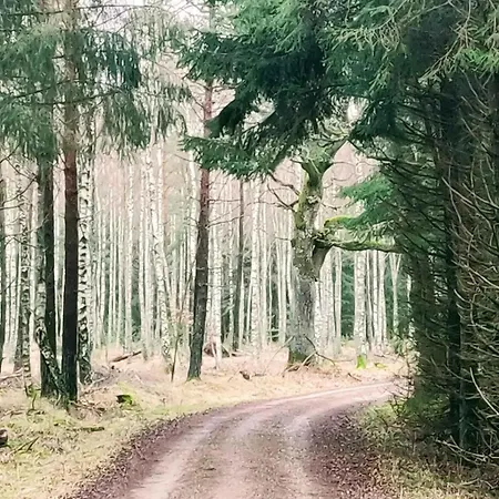 Casa de Férias Cozy In A Scenic Natural Setting