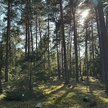 Cozy In A Scenic Natural Setting 펜션